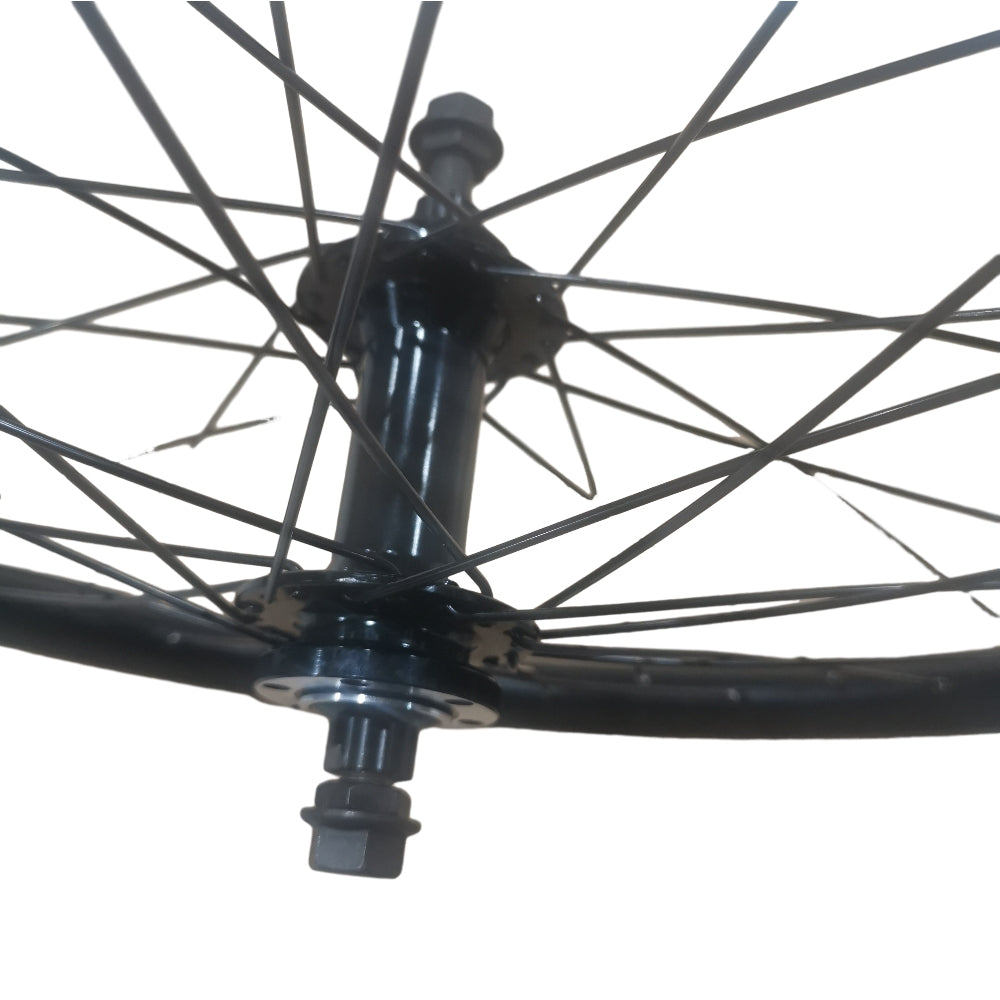EUNORAU G20-CARGO Rear Wheelset