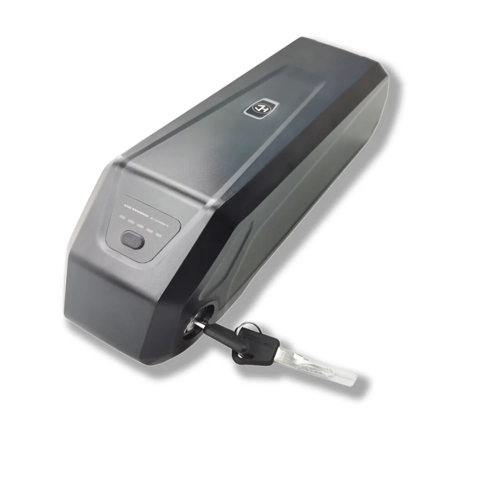 LECTRIC XPEDITION Battery