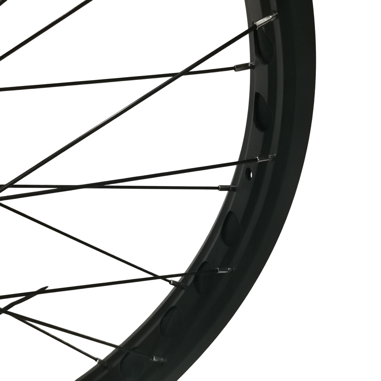 Rear Wheelset For FAT-HS/FAT-HD