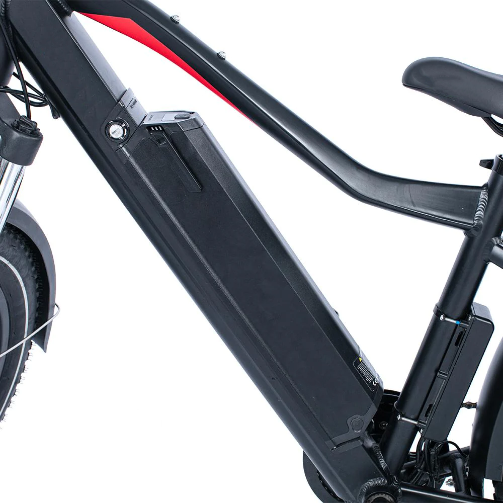 HJMBIKE Toury Battery | 48V14A Battery | Toury High-step and Toury Step-thru