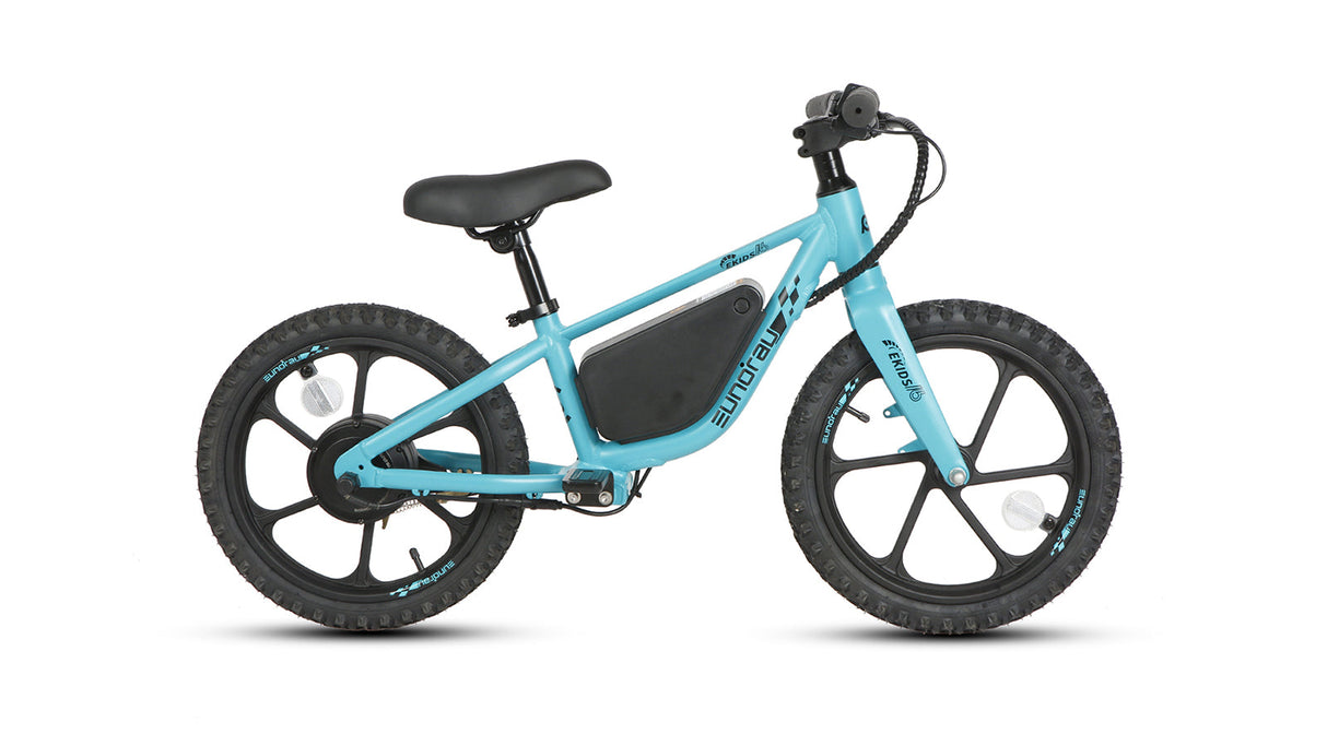 EKIDS-16 2024 --- DEMO BIKE