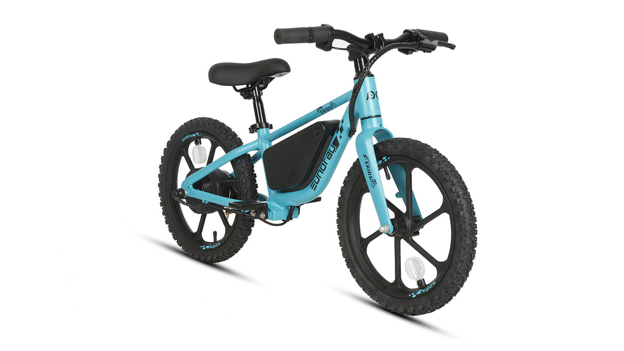 EKIDS-16 2024 --- DEMO BIKE