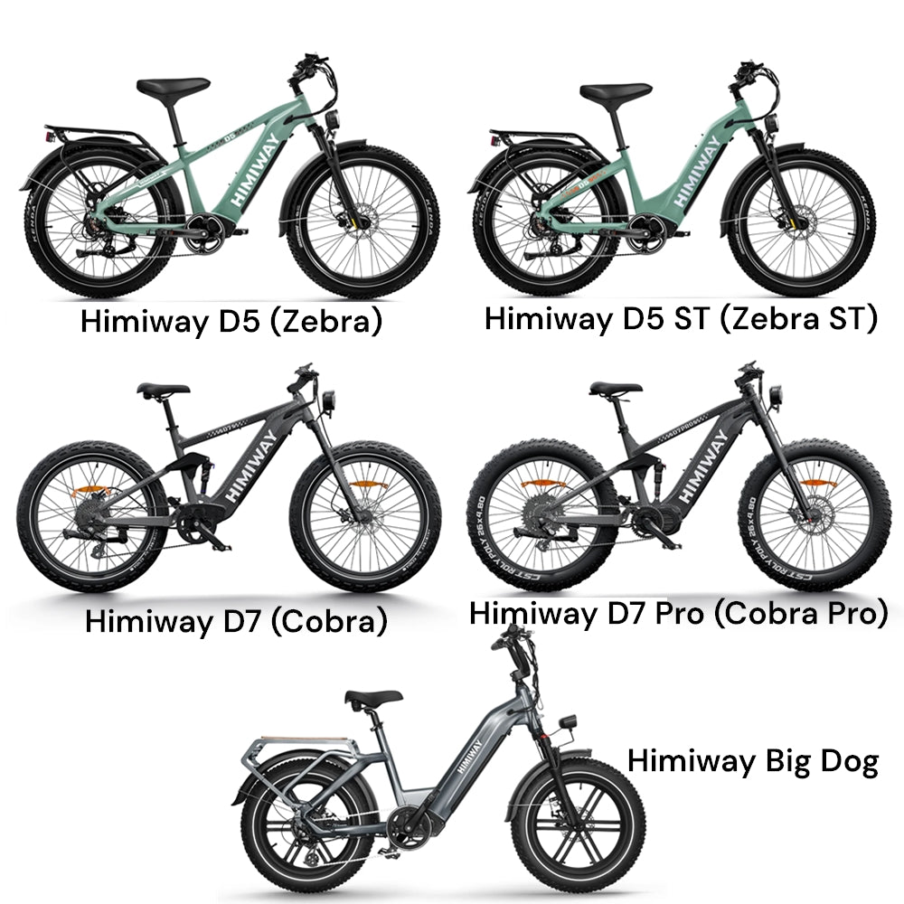 Himiway Zebra ST Battery | Himiway D5 ST (Zebra ST)