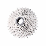 Shimano 10 Speed Cassette