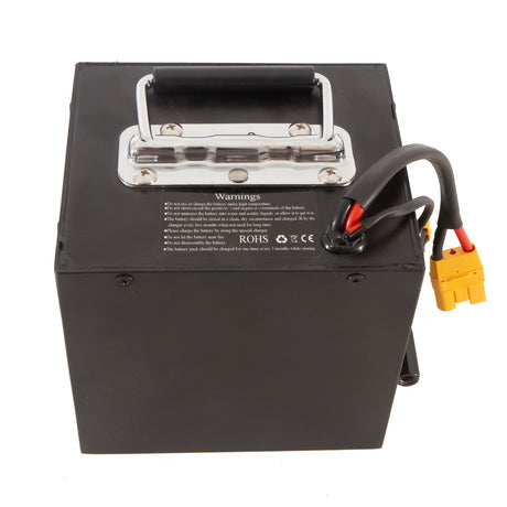 RX1 Battery