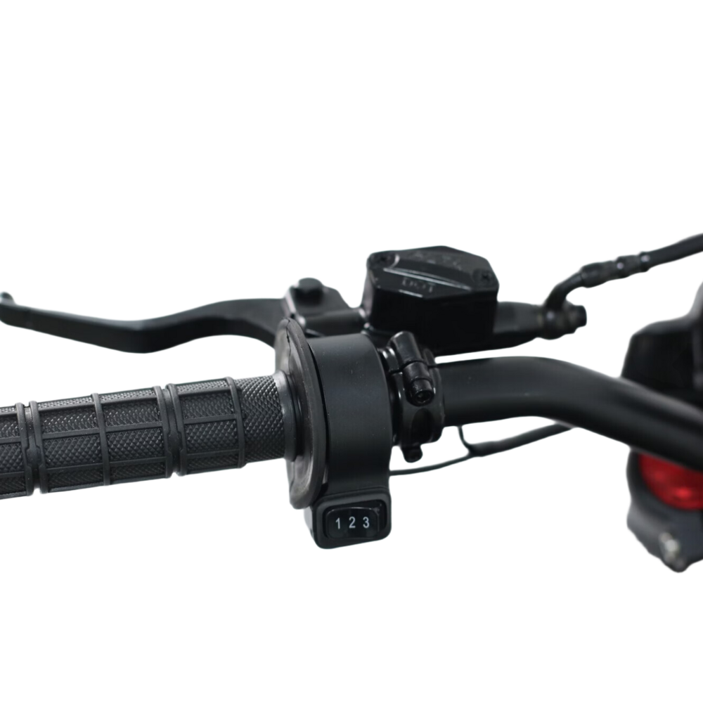 M5 Electric Dirt Bike