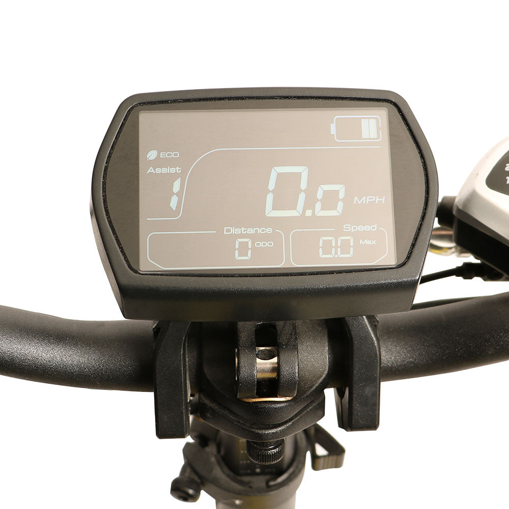 Electric Bike 48V LCD Display Fit for EUNORAU MAX-CARGO/FAT-HS/G30-CARGO/JUMBO