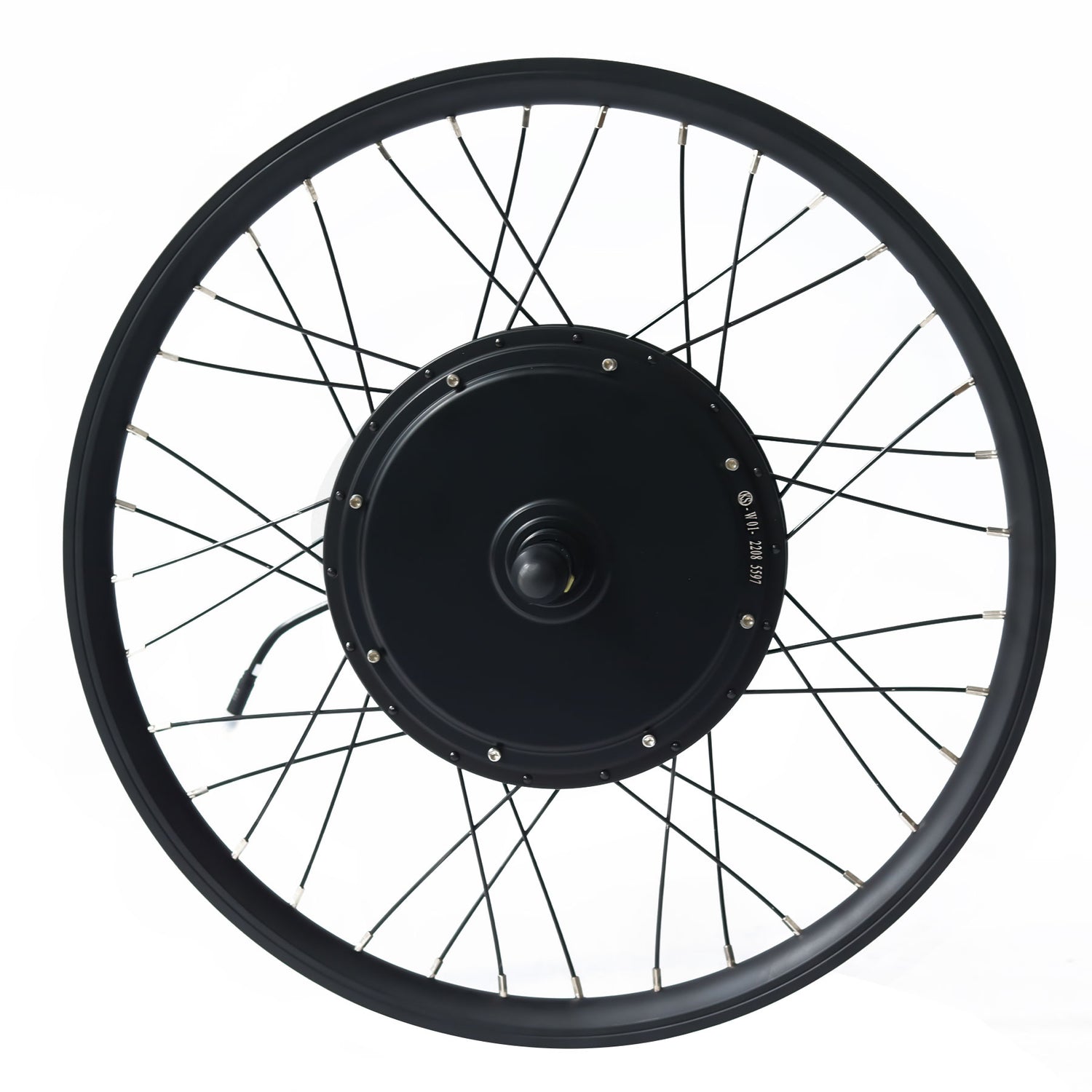 Wheel Rim Motor Electric Bike 24